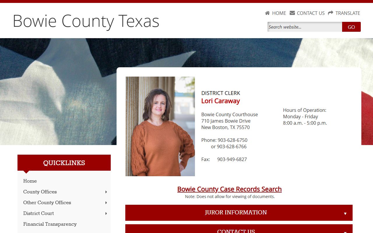 Bowie County District Clerk criminal records background check page
